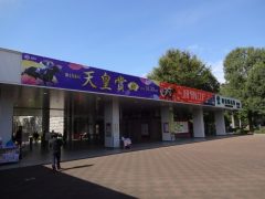 20161023tokyokeibajo-01