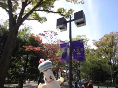 20161023tokyokeibajo-02