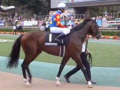 20161023tokyokeibajo-101