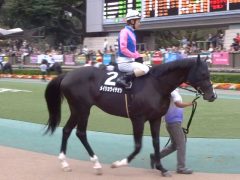 20161023tokyokeibajo-102