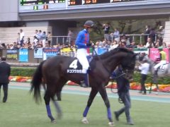 20161023tokyokeibajo-104