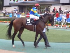 20161023tokyokeibajo-105