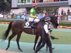 20161023tokyokeibajo-106