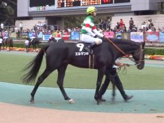 20161023tokyokeibajo-109