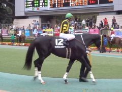 20161023tokyokeibajo-112