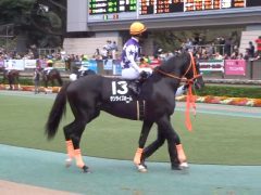 20161023tokyokeibajo-113