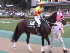 20161023tokyokeibajo-114