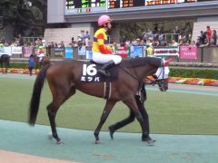 20161023tokyokeibajo-116