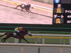 20161023tokyokeibajo