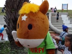 20161023tokyokeibajo-32